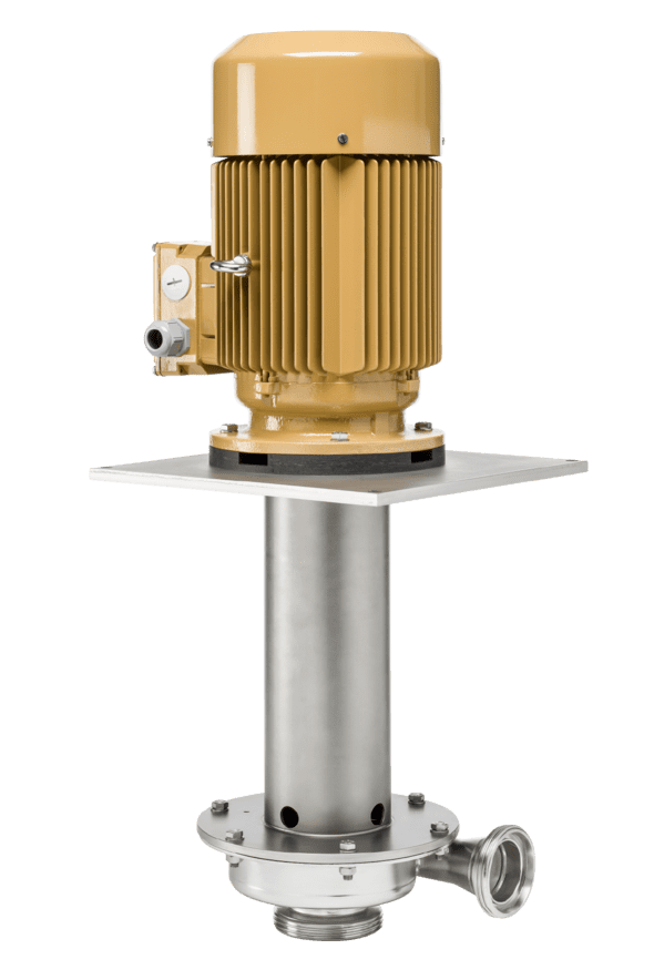 Vertical sealless immersion pump